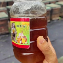 云南保山蜂蜜百花蜜一件2斤装包邮一件代发大宗批