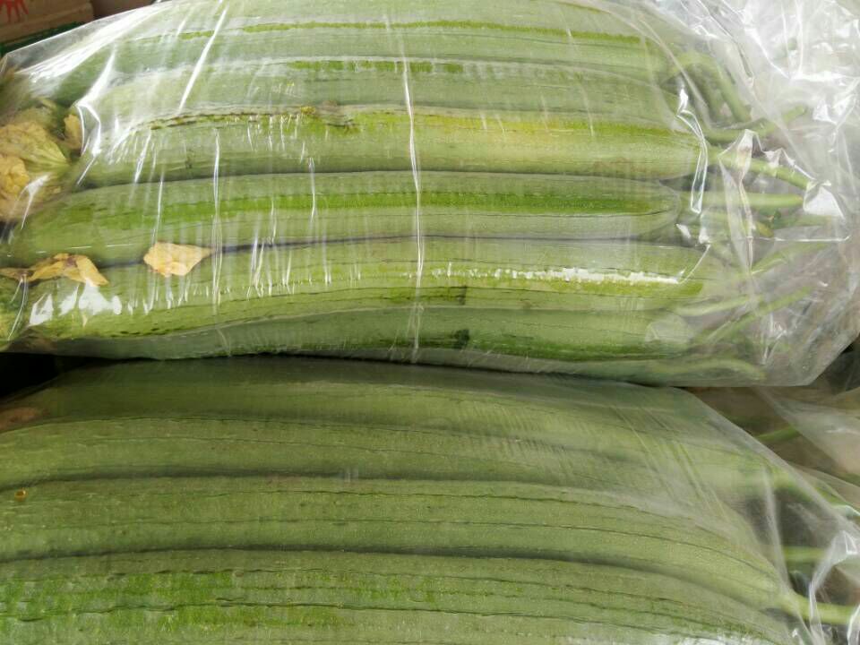 丝瓜在阴凉通风处用纸巾包裹存放的场景