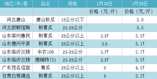 黄瓜最新行情:产地价格一周内翻倍