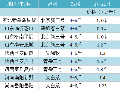 2016年3月21日白菜产销区最新价格行情