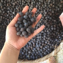 莲子壳