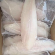 巴沙鱼