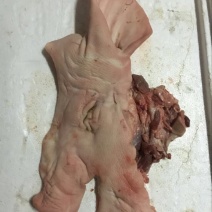 猪头肉包装