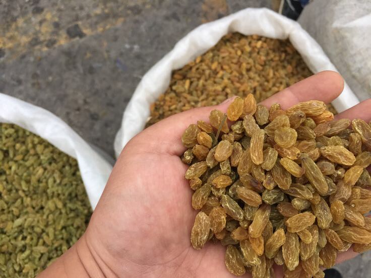 金黄葡萄球菌在人体中的分布示意图