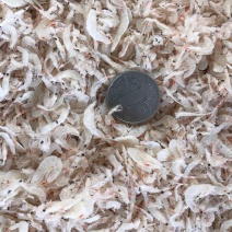 虾皮三级