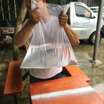 透明袋40*70cm