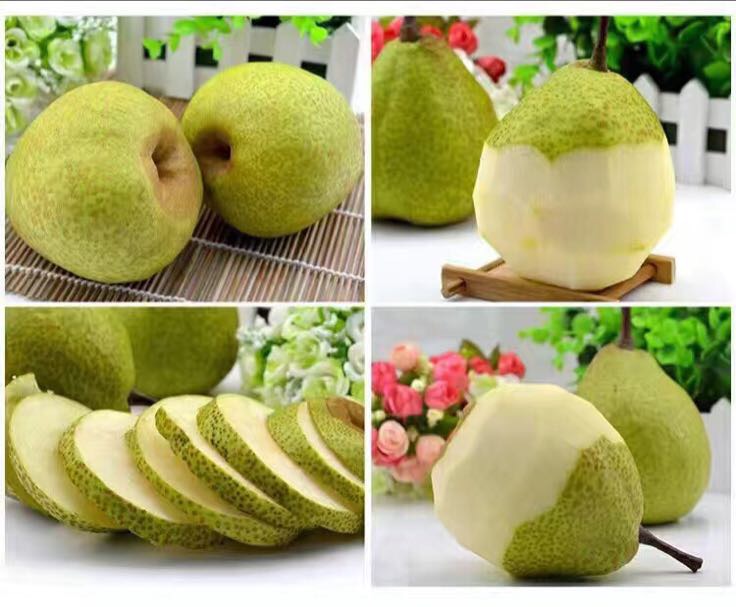 莱阳梨制作的梨水饮品,展示其在健康饮品中的应用 莱阳梨制作的梨水饮品