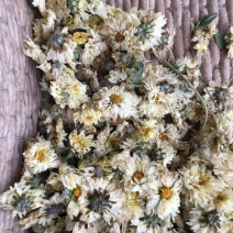 药用菊花袋装