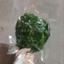 苦苣菜20~25厘米