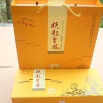 皇菊茶一级
