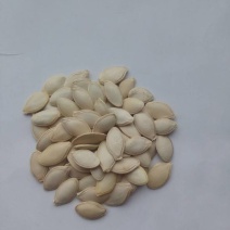 葫芦种子