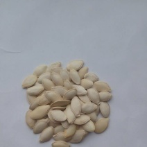 葫芦种子