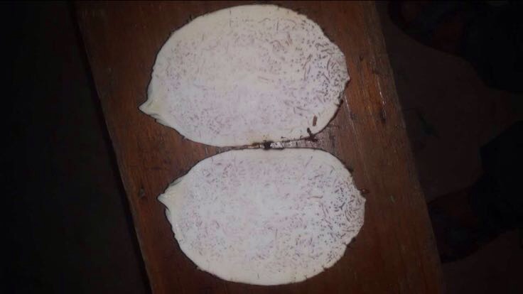 揉好的香芋糯米面团放置在案板上,表面光滑有光泽 揉好的香芋糯米面团展示图