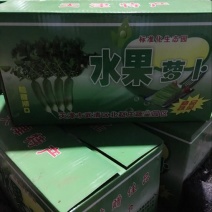 水果萝卜1~1.5斤起