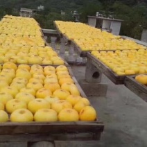 柿饼1~2两
