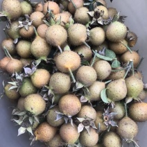 刺梨鲜