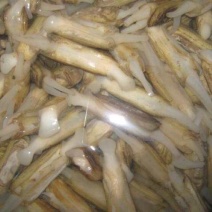 海蛏食用