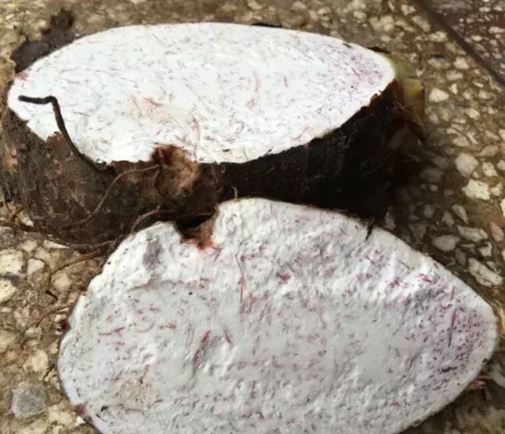 一颗刚切开的荔浦芋头,断面呈现清晰的紫红色放射状花纹,质地洁白细腻,边缘湿润有光泽,背景为木质砧板和削皮刀 荔浦芋头切面特写