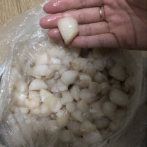 扇贝食用冰冻0.1只/kg以下