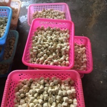 千叶豆腐湿豆腐
