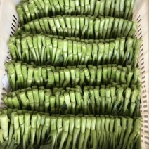 菜苔10~15厘米
