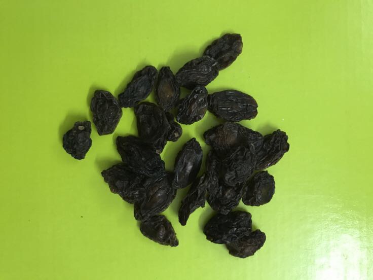 山楂干发黑现象展示图