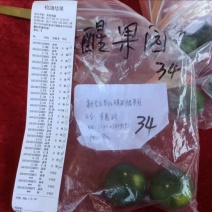 柑普茶特级