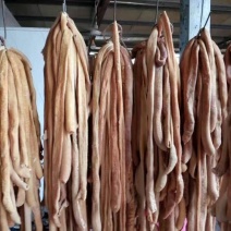 牛杂新鲜