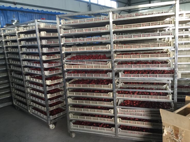 信息图表展示无皮枣的三种常见加工方式:左侧为机械摩擦去皮,设备为滚筒式脱皮机,产出枣体完整;中部为碱液浸泡法,标注‘需多次冲洗’;右侧为蒸汽软化后手工剥离,成本高但安全;底部标注‘推荐物理方式’ 无皮枣加工流程示意图