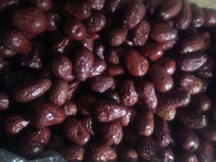 吊干枣与普通烘干灰枣对比图：左侧为吊干枣（琥珀透亮、果形饱满、表面光滑无裂纹），右侧为隧道热风烘干灰枣（深红偏暗、表皮微皱、局部有糖霜结晶），两者并排置于白瓷盘中，配电子糖度计与放大镜示意