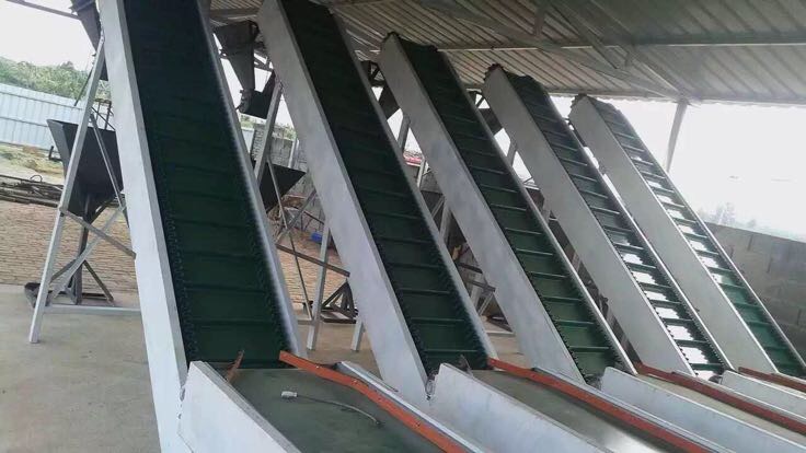 山栗自动化加工生产线场景图,展示清洗、去壳、分拣、包装等环节 山栗加工生产线