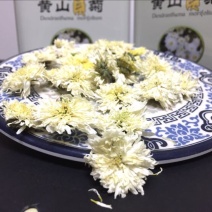 菊花茶特级