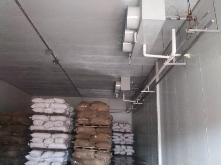 一位家庭主妇正在厨房操作台上将迁西板栗分装进透明密封袋,旁边放置着标签笔、冰箱冷藏格内的板栗包,以及一碗已煮熟剥壳的金黄色板栗肉,展示家庭科学储存全过程 家庭储存板栗场景