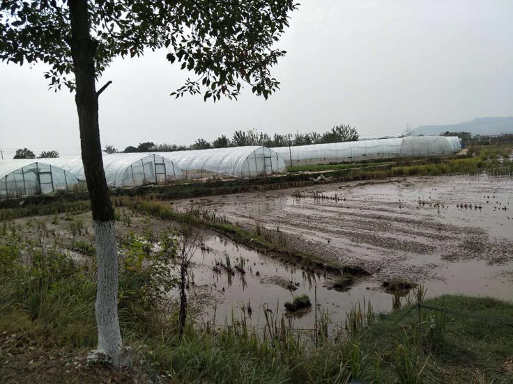 草莓奶油山分层结构剖面示意图