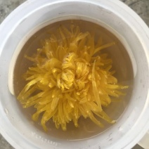 金丝皇菊茶一级