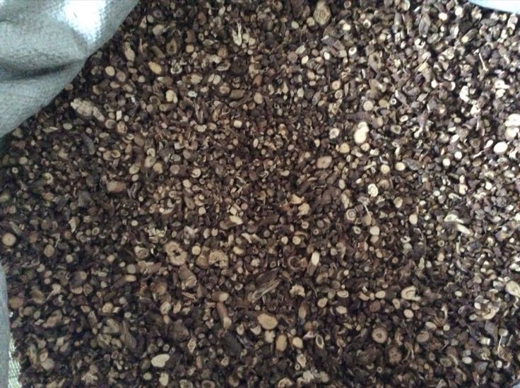 北柴胡与常见伪品断面对比图,展示正品与劣质品的差异 北柴胡与伪品断面对比图