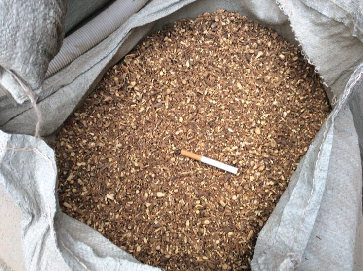 一位中医师正在中药房中认真调配药材,桌上摆放着北柴胡和其他中药材 中医师在调配中药