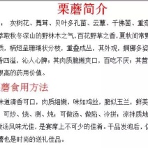 栗蘑特级
