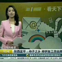 柿饼2~2.5两