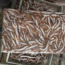 鲴鱼饲料0.5~1公斤