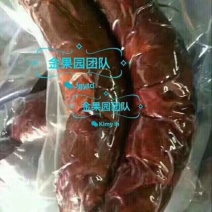马肉冷冻