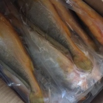 小黄鱼食用