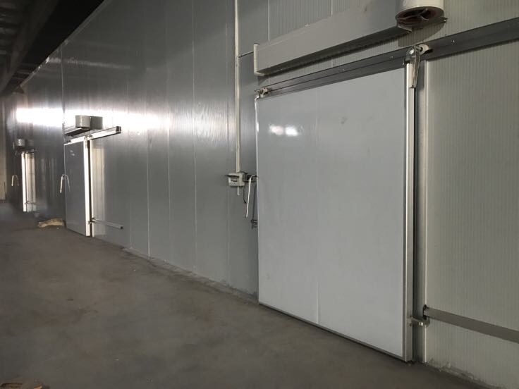 现代化大蒜提取生产线场景