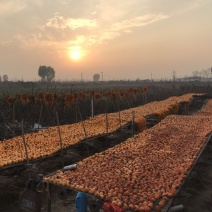 柿饼1两以下