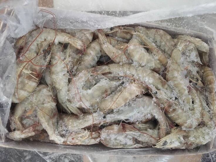 射阳南美白对虾成品展示图