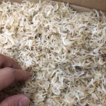 虾皮生哂虾皮