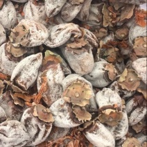 柿饼1~2两