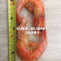 干虾