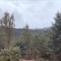 山地1001~5000亩50年以上转让