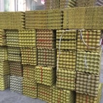稻壳